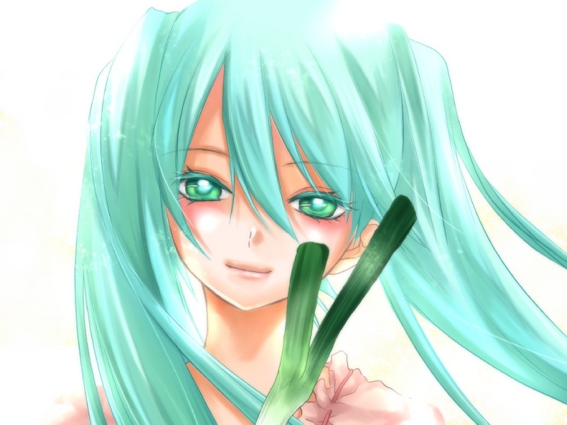 お持ち帰りはピアプロで